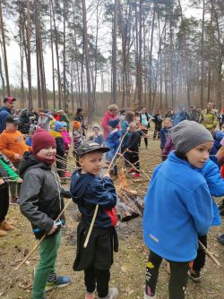 Miniatura zdjęcia: Sadzenie lasu przez uczniów SP Jamielnik